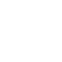 Icone da rede social instagram, de cor branca